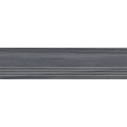 30 RK PANORA M 101 STP